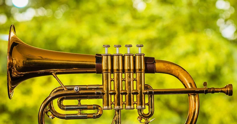 La location d'instruments comme ressource d'appoint